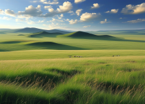 【草原自驾】游牧草原自驾5日游