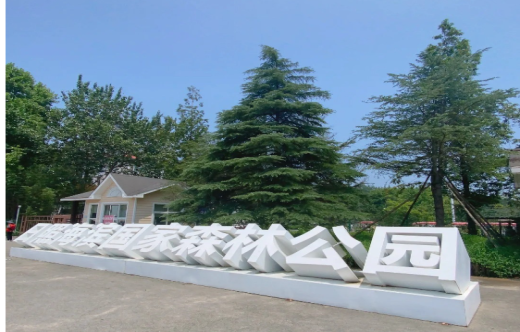 日照旅行社,【夜游森林】沉浸式体验半日游
