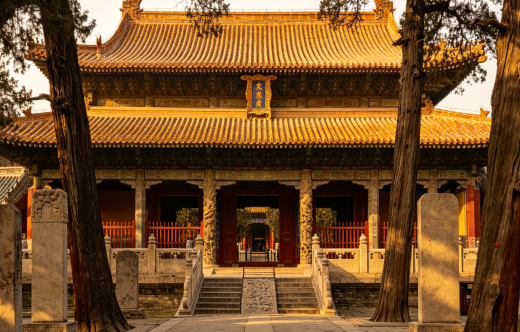 日照旅行社,【曲阜三孔】国学1日游