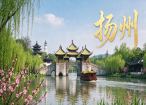 金秋赏菊 兴化/泰州/扬州二日游
