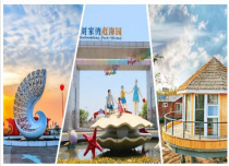 【深度游玩、赶海拾贝】纯玩半日游